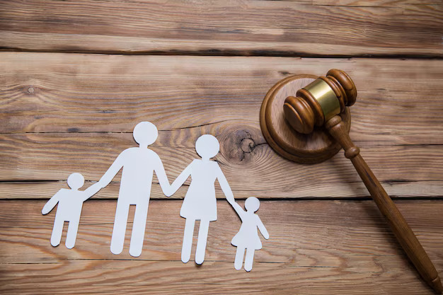 Child Custody Lawyer LawCrust