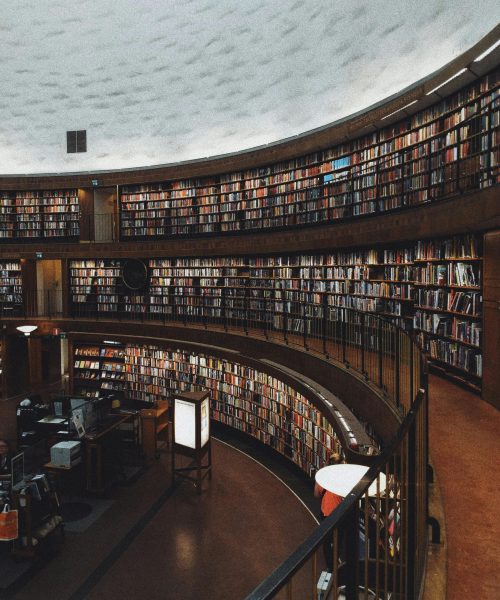 Brown Wooden Shelf With Books
